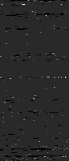 MTVZA-19.png